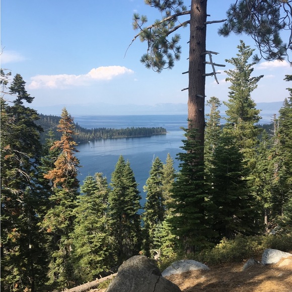 Meet your Posher, Jackie - Picture 1 of 1